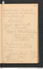 Seite 26, Tagebuch "Munzingen, WildKirchli, Achenheim, Metternich, Rhens, Basel" (NHMW-PRAE-BBB-29)